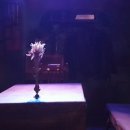 미스줄리 | [부산 무료연극] 미스줄리 후기 [극단 : 물레방아]