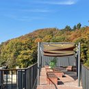 럿지(Lodge) 이미지