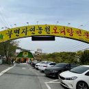 북면오리탕 김해점(자연농원) 이미지