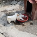 기중농장 이미지