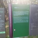 힐링인투어