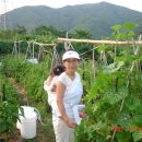 효정이네농장 이미지