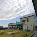 카페그리너리