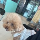 너를담다수변점
