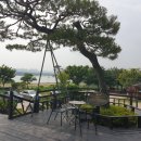 일심이네 맛집가게 이미지