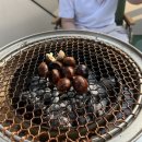 [한량캠퍼 화로]다이소 차콜스타터 쉐프의정육점 우대갈비 파막창 강남한복판에서 옥상캠핑