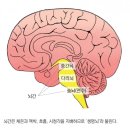 수성메디칼 - 서구 | 수성메디칼
