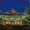 미인열차 이미지