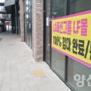 라피에스타 이미지