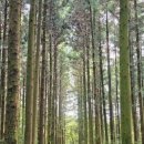 남원읍-82 이미지