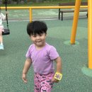 던스스웨덴 신상2024년 고양이 상하세트 덩가리 후기/사이즈 팁