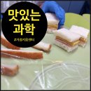 [키움센터 수업후기] 냉장고 속 과학 탐험! 비건달걀 요리까지!-초등 방과후 과학 수업 | 오해피데이지