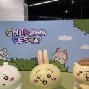 뽑기쉼터 | 먼작귀 부산 팝업 치이카와 페스타 오픈런 후기 (뽑기운최고 우사기)