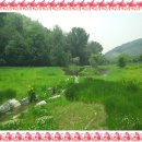 삼익공인중개사사무소 이미지