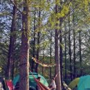 파주기산캠프 이미지