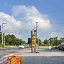 산아구탕 | 제주도 각지불 아구탕 포장(강민경 맛집), 바로 옆 제동목장 입구 삼거리 위치