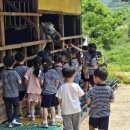 승마공원 이미지