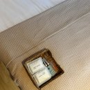 이디오랜 이미지