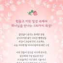 [도서정보] 내 영혼 안정 시키기 / 캐런 이먼 / 규장 이미지