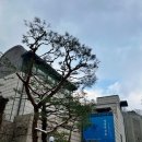 아뜰리에조각달 | 환기미술관 <영원한 것들: 누구를 위해서가 아니라 스스로 존재한 것들> 다녀왔어요 서울부암동전시회후기