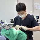 상남동288 이미지