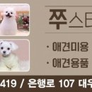 쭈애견미용 이미지