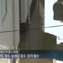 구례군(구례교) e-주간시흥
