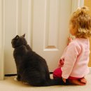 고양이발바닥 이미지