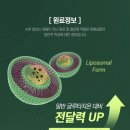 웰빙플러스유