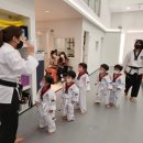 나라차하계태권도장 이미지