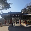 승복매점 | 양산 통도사 방문기 (운영시간, 주차장, 지도, 점심공양, 한송카페, 한송매점, 홍매화)