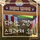 다이소 고양이 스크래쳐 고양이 빵가게 후기, 3천원의 행복