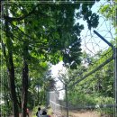 내곡동443 이미지