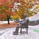 국민관광지(임권택시네마테크) | 전라도 장성 가볼만한 곳 단풍으로 물든 장성호 관광지의 가을