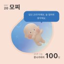 영진중기 | [ 👶🏻 ᴘ ʀ ᴇ ɢ ɴ ᴀ ɴ ᴛ ] 20w-30w 기록 : 임신 중기에서 후기까지!