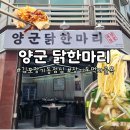김포 장기역 먹자골목 점심 식사 추천 김포 장기동 닭한마리 맛집 양군닭한마리 후기