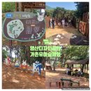 초안산 유아숲체험장 | 양산 아이와 가볼만한곳 - 디자인공원🌳 유아숲🌳체험장 방문후기 및 꿀팁