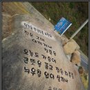 아담농원