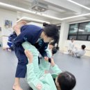 테크니카주짓수