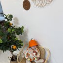 제주 조우아 이미지