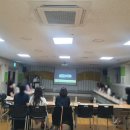 리틀윌링스 이미지