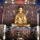 고요한 숲 | 안성 청원사 — 고요한 숲 속에서 마음을 씻다