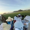 삼정마을 이미지