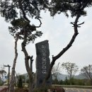 109 | [충남 예산 숙소 추천] 가을 글램핑 하기 좋은 곳, 예당관광농원 G109호 후기