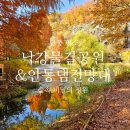 호반로(상아동) | [안동] 가을 단풍 놀이 당일치기 여행 코스 낙강물길공원 안동댐전망대 위치 주차 정보 힐링 여행...