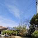 김명옥 펜션 이미지