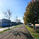 군문교 | 평택자전거길 [평택강]