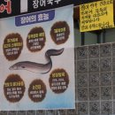 병호돌장어 이미지