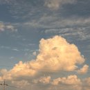 수서서비스 기아오토큐주식회사 | 일상) 정~말 뜨거운 여름! 가는게 있으면 오는게 있다⭐️ 25년 7월 일기