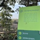 동광리-9 이미지